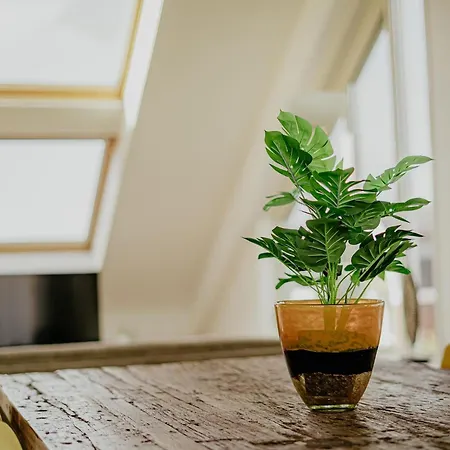 Lejlighed Penthouse With Views