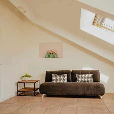 Penthouse With Views