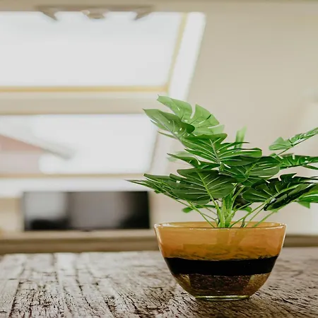 公寓 Penthouse With Views